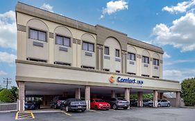 Comfort Inn Syosset-Long Island